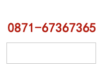 咨询热线：0871-67367365